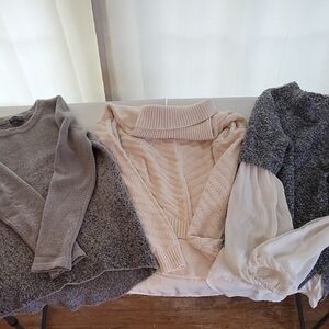 3 The Limited Small Sweaters